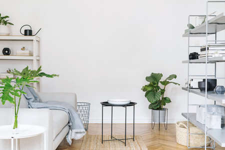 Modern nordic home interior with grey bookstand with accessories, design sofa, tropical plants, coffee table and stylish furniture. Empty white walls. Cozy space of living room. Brown wooden parquetの写真素材