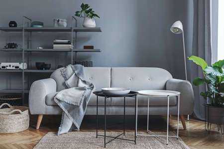 Stylish nordic living room with design sofa with elegant blanket, coffee table,white lamp, big plants and bookstand on the grey wall. Brown wooden parquet. Concept of minimalistic interior.の写真素材