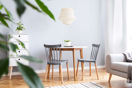 Modern scandinavian decor of open space with design furniture, family table, sofa and plants Brown wooden parquet and stylish carpet. Nice and minimalistic apartment. Big windows. Bright and sunny.の写真素材