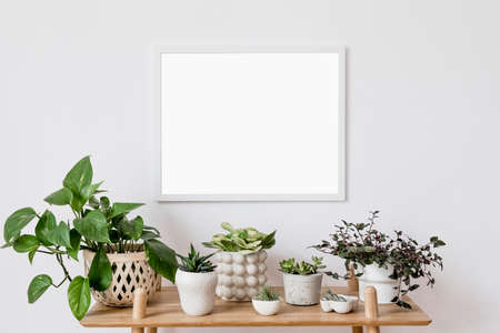 Stylish scandinavian interior with mock up poster frame, design bamboo commode and beautiful composition of plants in different hipster pots. Modern home decor. Minimalistic concept. Home garden.の写真素材