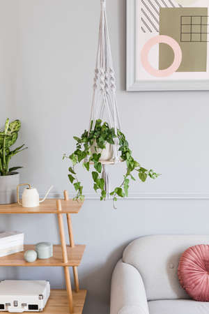 Close up of handmade macrame shelf planter hanger for indoor plants, rattan shelf, gray sofa, poster...
