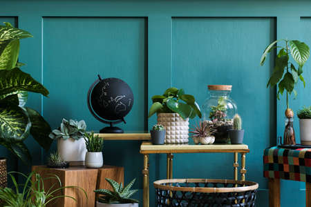 Modern composition of home garden filled a lot of beautiful plants, cacti, succulents, air plant in different design pots. Stylish botany interior. Green wall paneling. Template Home gardening conceptの写真素材