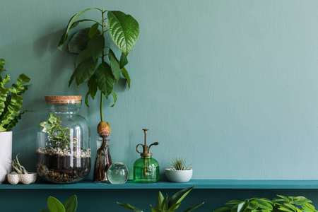Stylish living room interior with beautiful plants in differents hipster and design pots on the...