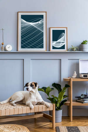 Modern interior of living room with design wooden console, books, plants, mock up photo frames, decoration, elegant personal accessories in stylish home decor and beautiful dog lying on the chaise lounge.の写真素材