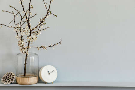 Minimalistic composition on the shelf with dried flower in design vase, white clock and decoration on the stylish living room interior. Gray wall. Copy space.の写真素材