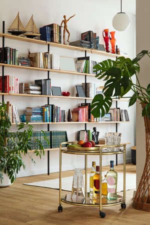 Modern composition of open space interior with gold kitchen bar, plants, home library, decoration...