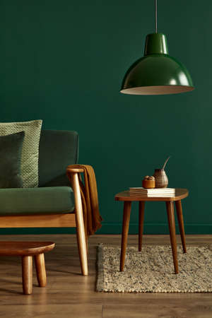 Minimalist living room interior in stylish house with design velvet sofa, carpet on floor, brown wooden coffee table, book, pendant lamp, perosnal accessories, copy space background in home decor.の写真素材