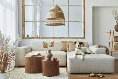 Stylish interior of living room with design modular sofa, furniture, coffee table, rattan...
