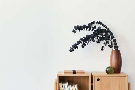 Modern composition of living room interior with design wooden bookcase, eucalyptus leaf in vase,...