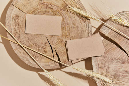 Flat lay of creative composition with mock up visit cards, wood, natural materials, dry plants and personal accessories. Neutral colors, top view, template.の写真素材