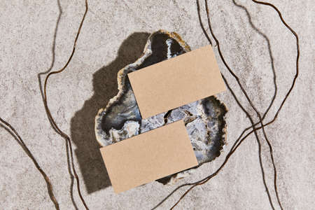 Stylish flat lay creative composition with mock up visit cards, natural materials, dry plants and...