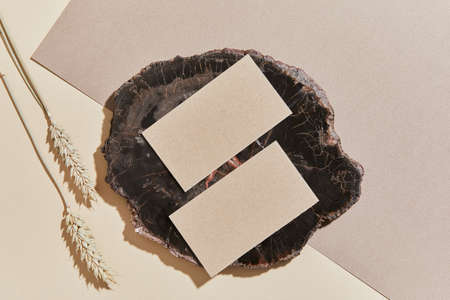 Flat lay of creative minimalistic composition with mock up visit cards, rock, natural materials, dry...
