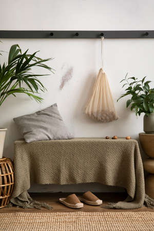 The stylish composition of cozy entryway with gray bench, black consola, hanger and plant. Beige wall. Home decor. Template.の写真素材