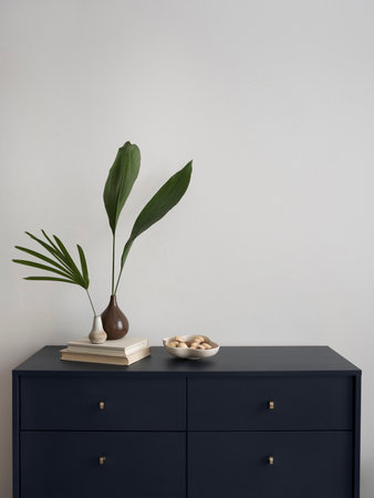 Minimalist composition of elegant and outstanding space with copy space, elegant navy commode, green leaves in vase, books, bowl with peanuts, decoration and personal accessories. home dÃ©cor. template.の写真素材