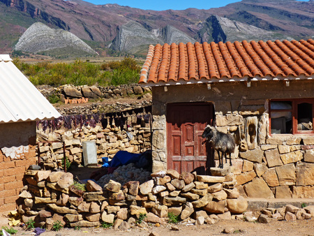 Dry wall houses and a lonely skinny black sheep.Interesting geological formations in the background.The picture was taken at Torotoro Park, Boliviaの写真素材