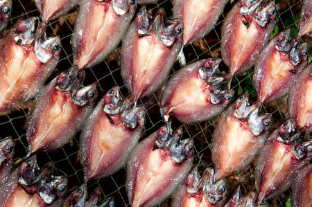 Dry fish
