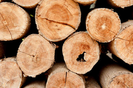 Wood lumber backgroundの写真素材