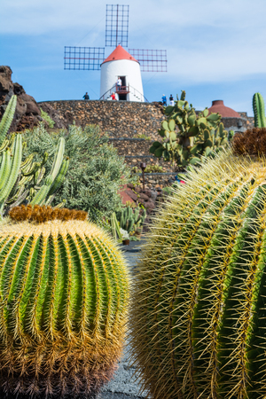 View of cactus garden in Guatiza village, Lanzarote, Canary Islands, Spainの写真素材