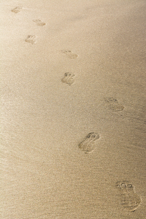 Footmarks on the golden sandy beachの写真素材
