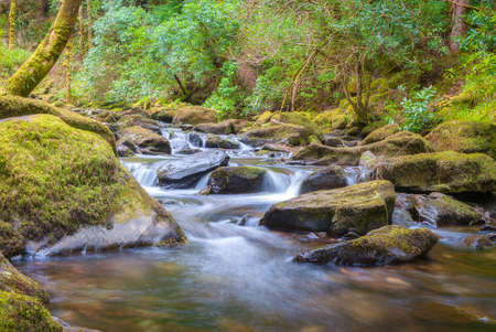 Stream in Killarney National Park, Irelandの写真素材