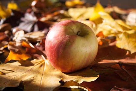 Apple backgroundの写真素材