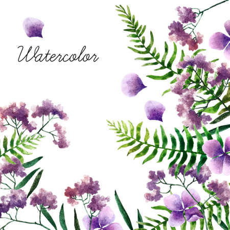 Big set of watercolor botanical elements. Beautiful botanical elements isolated on white background. Hand drawn herbs and flowers for your design. の写真素材