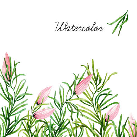 Big set of watercolor botanical elements. Beautiful botanical elements isolated on white background. Hand drawn herbs and flowers for your design. の写真素材