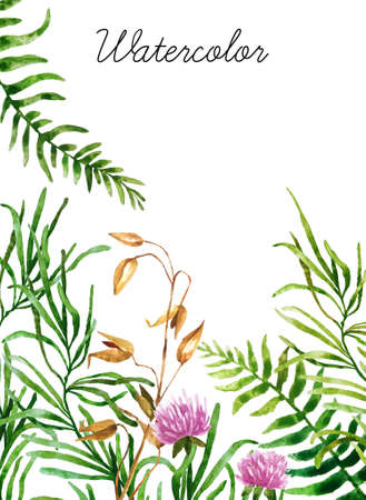 Big set of watercolor botanical elements. Beautiful botanical elements isolated on white background. Hand drawn herbs and flowers for your design. の写真素材