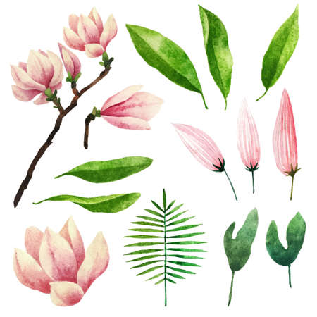 Big set of watercolor botanical elements. Beautiful botanical elements isolated on white background. Hand drawn plants and flowers for your design. の写真素材