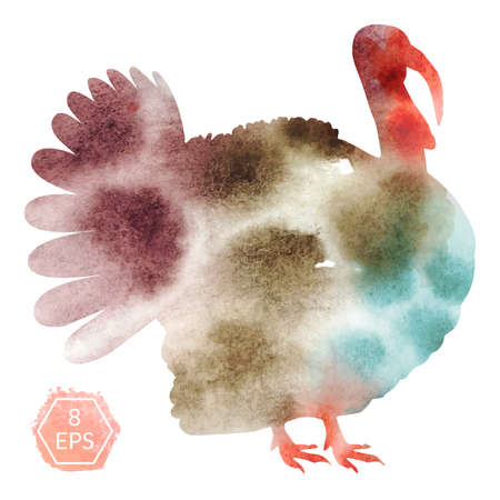 Vector. Watercolor turkey isolated on white background for your design.のイラスト素材