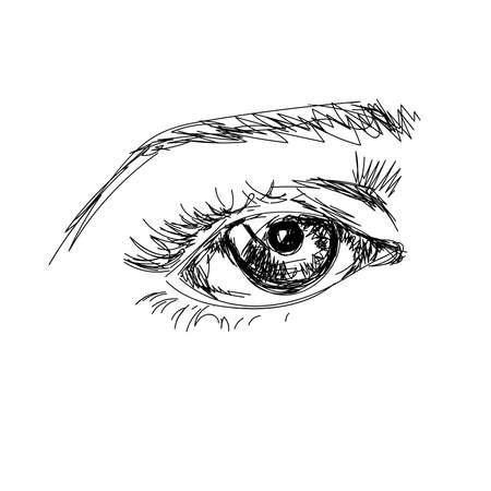 hand draw scetchy big eye with brow on the white backgroundのイラスト素材