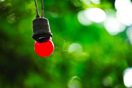 red round lampの写真素材