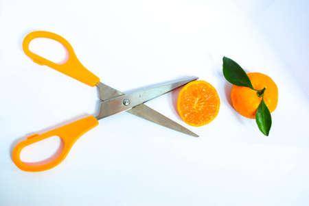 scissors and orangeの写真素材