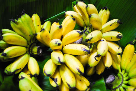fresh bananaの写真素材