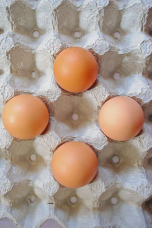 Eggs in the panel