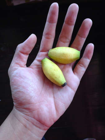 Small banana on hand