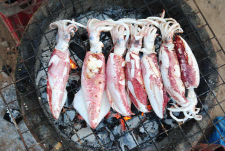 Grilled squid