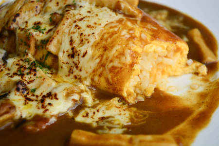 Japanese Curry Rice and cheese