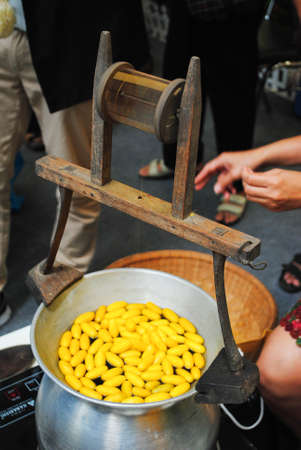 silk threadの写真素材