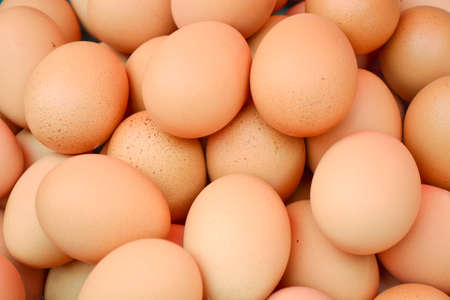 Eggsの写真素材