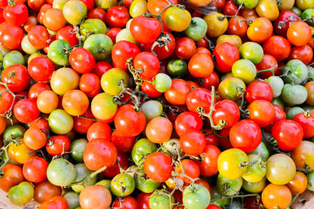  small tomatoの写真素材