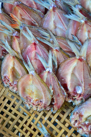  dried fish