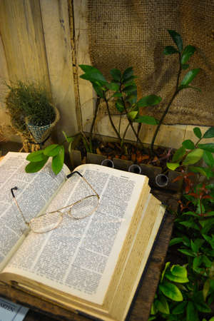  book and glassesの写真素材