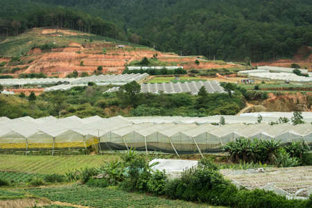 greenhouse with mountain backgroundの写真素材