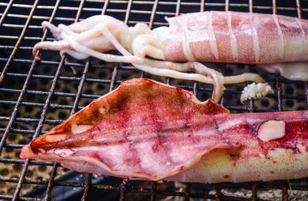 Grilled squidの写真素材