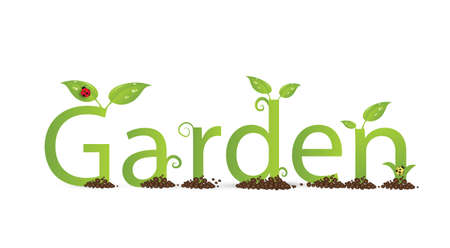 green eco friendly text Garden decorated with leaves and bugs and curl on the white backgroung, vectorのイラスト素材