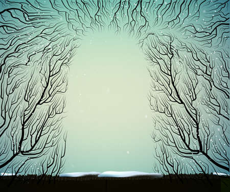 way to the deep fairy frosty winter forest, shadows, branches silhouette, blue blue fairyのイラスト素材