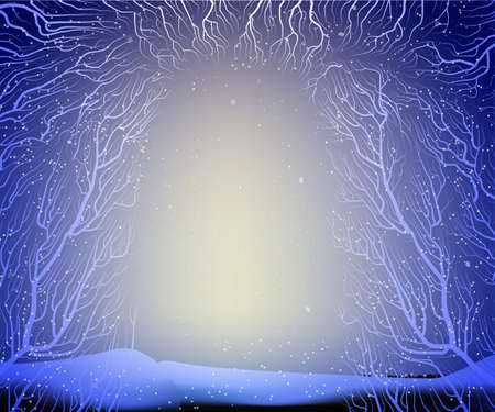 way to the deep fairy frosty winter forest, shadows, branches silhouette,のイラスト素材