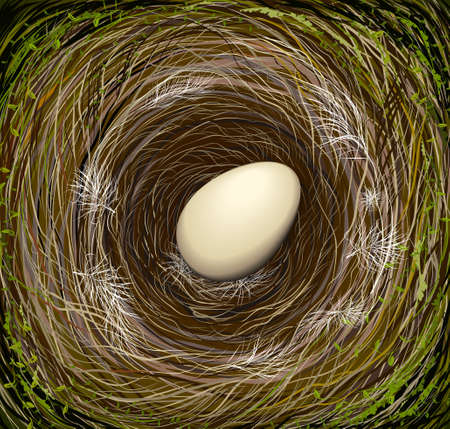 Realistic bird s nest with one big egg, Easter in nature,のイラスト素材
