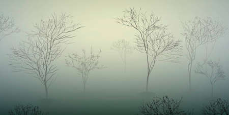early spring morning in the forest, March nature scene, foggy morning,のイラスト素材